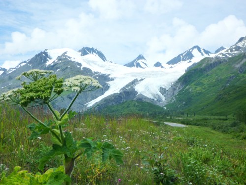 WorthingtonGlacier0174