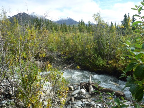 DenaliAlpineHike0517