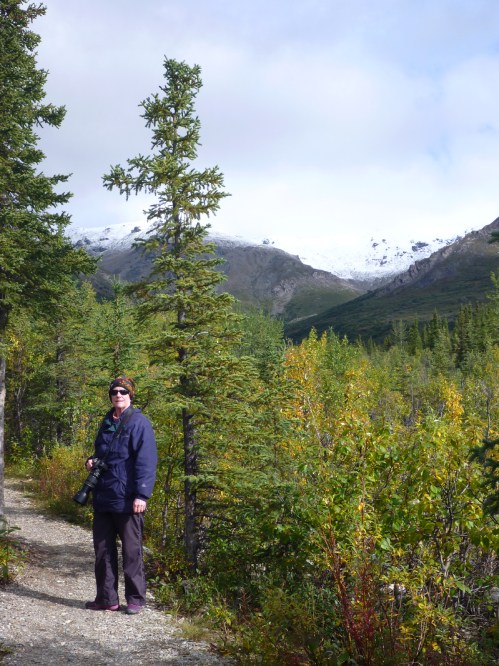 DenaliAlpineHike0522