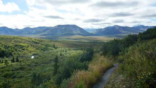 DenaliAlpineHike0526