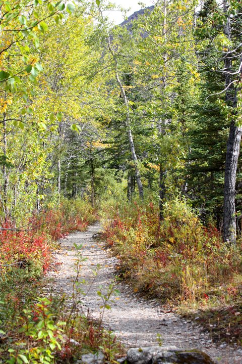 DenaliAlpineHike6707