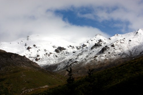 DenaliAlpineHike6712