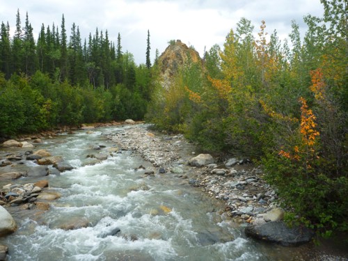 DenaliRileyCreek0457