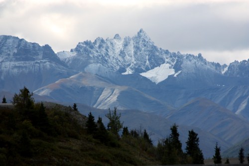 DenaliSavageRiver6639