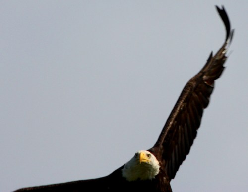 NinilchikDeepCreek6278