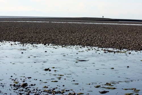 NinilchikDeepCreek6295