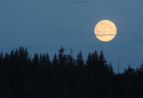 NinilchikDeepCreek6355