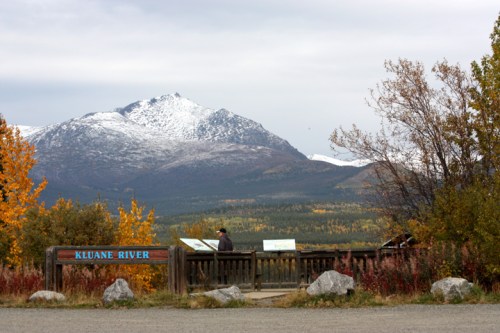 AlaskanHwyReturn6880