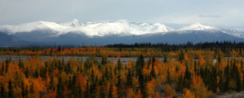 AlaskanHwyReturn6896
