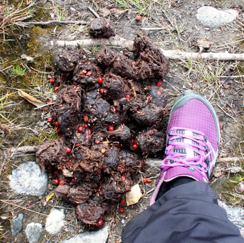 CassiarHwyBoyaLake6939