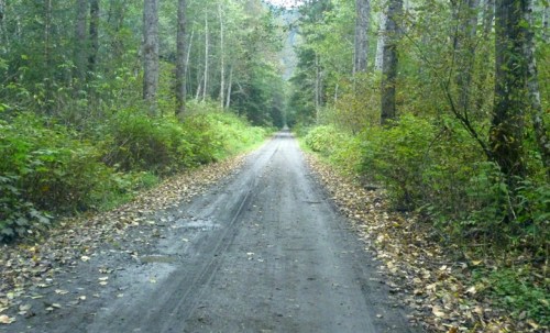 CassiarHwyClementsLake0937