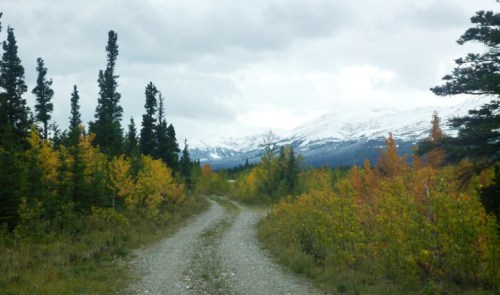 RichardsonHwyDonnellyCreek0683