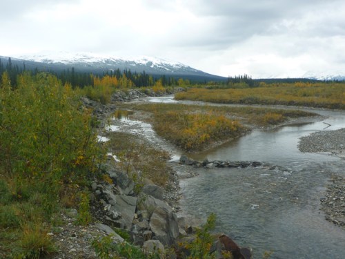 RichardsonHwyDonnellyCreek0694