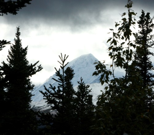 RichardsonHwyDonnellyCreek6772