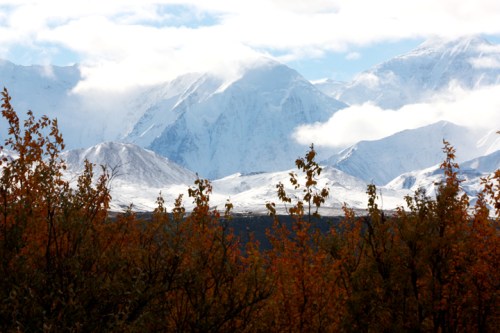 RichardsonHwyDonnellyCreek6783