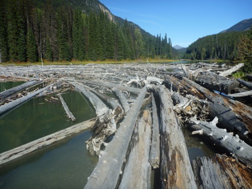 Sea2SkyDuffyLake0298