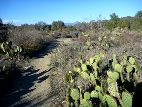 CaspersCapistrano0257