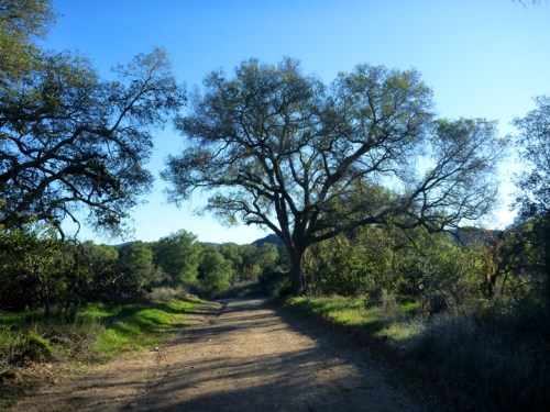 CaspersCapistrano0264