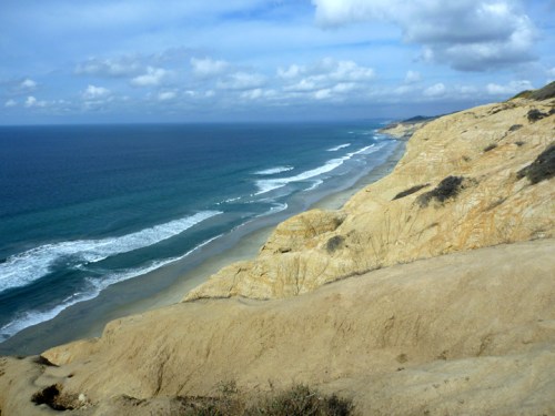 TorreyPines0362