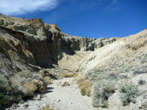 OwlCanyon0004