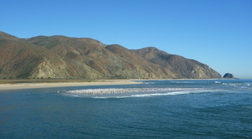 PtMugu0037