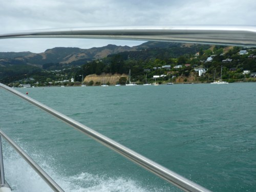 Akaroa0314