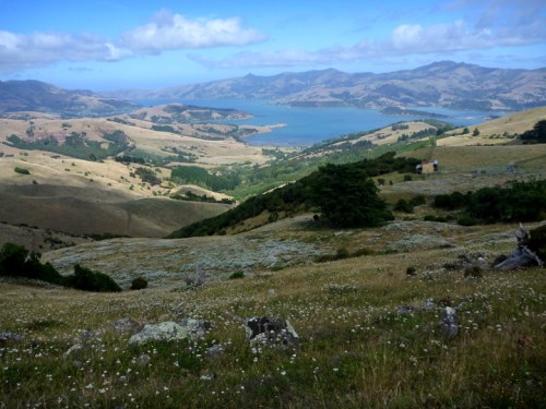 AkaroaSummitDrive0418