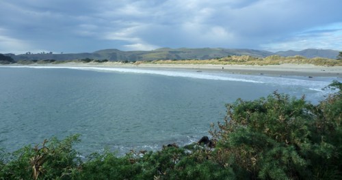 Aramoana0870