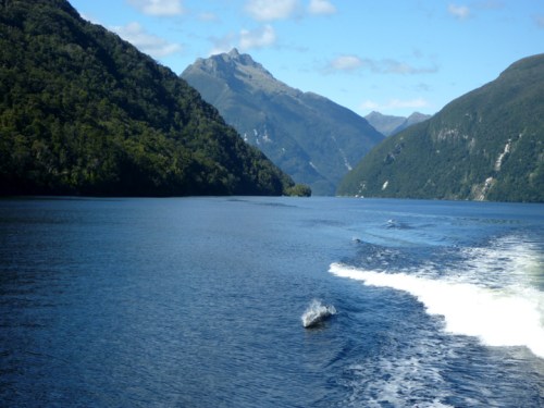 DoubtfulSound0298