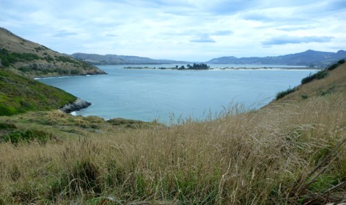 OtagoPeninsula0905