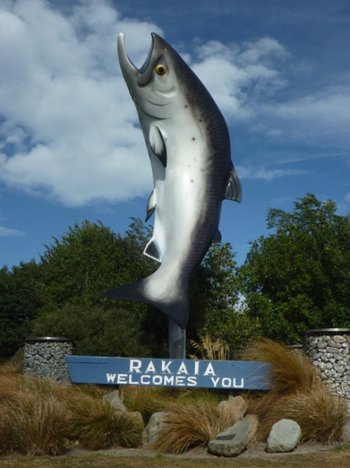 Rakaia0425