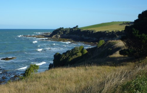 Taranui0747