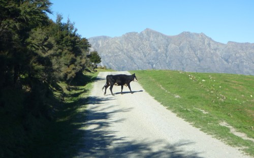 LakeHawea0661