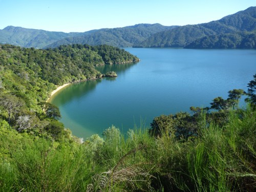 QueenCharlotteDrive0405