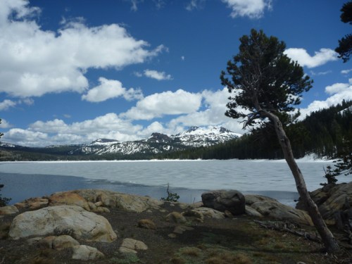 Route88CaplesLake0625