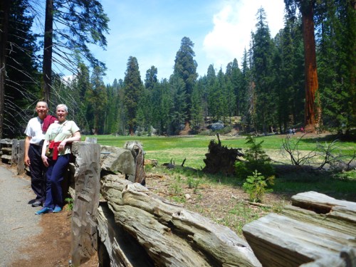 SequoiaNP0368