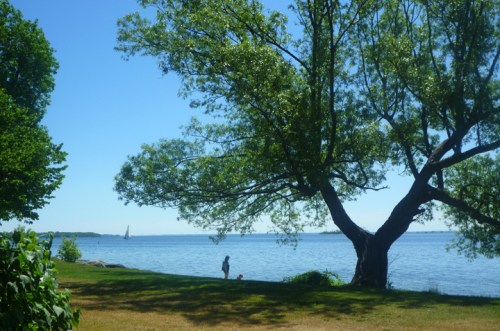 LakeOntarioLunch0155