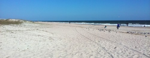 fernandinabeach1133a