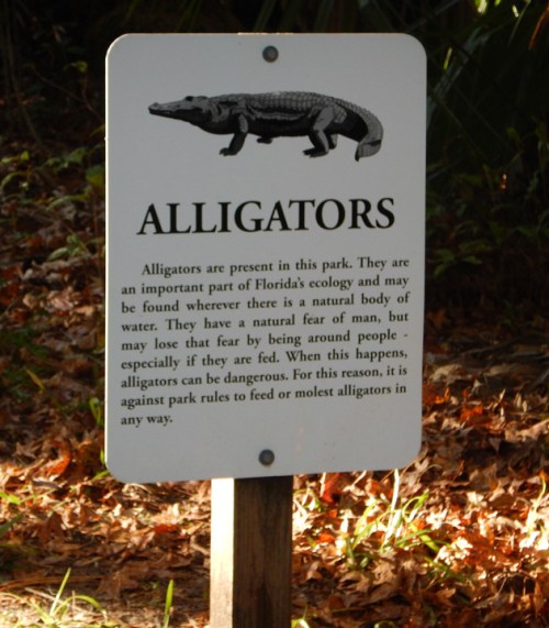 highlandshammock1208