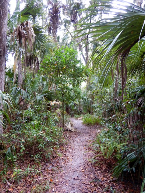 highlandshammock1238